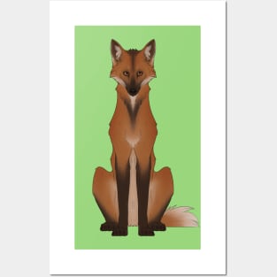 Maned Wolf Posters and Art